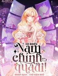 Có Nhiều Nam Chính Quá Đi!