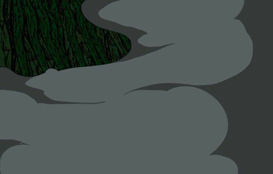 page 304