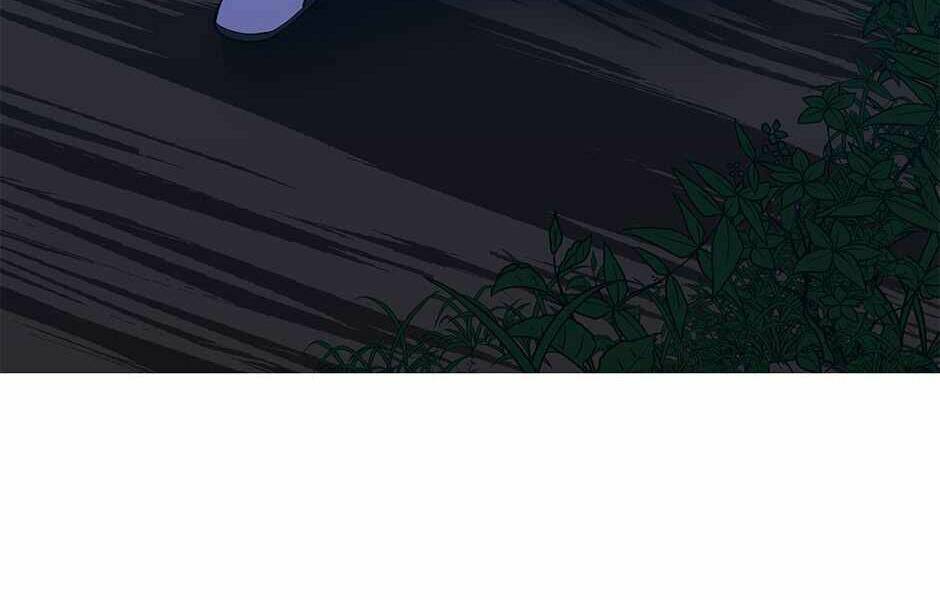 page 245