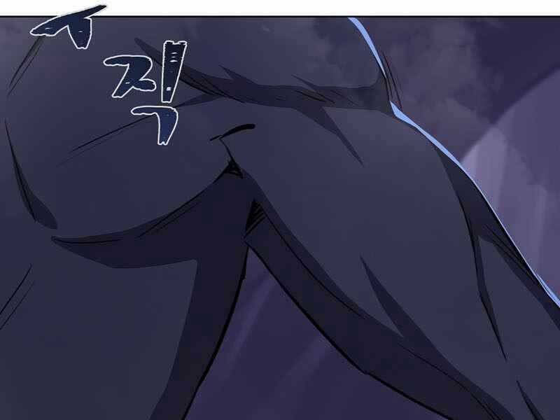 page 217
