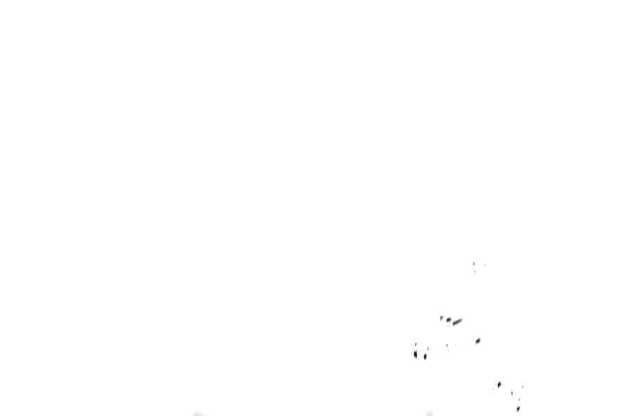 page 196
