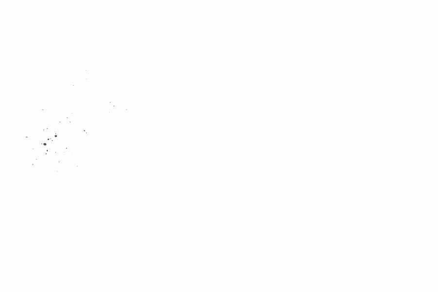 page 325