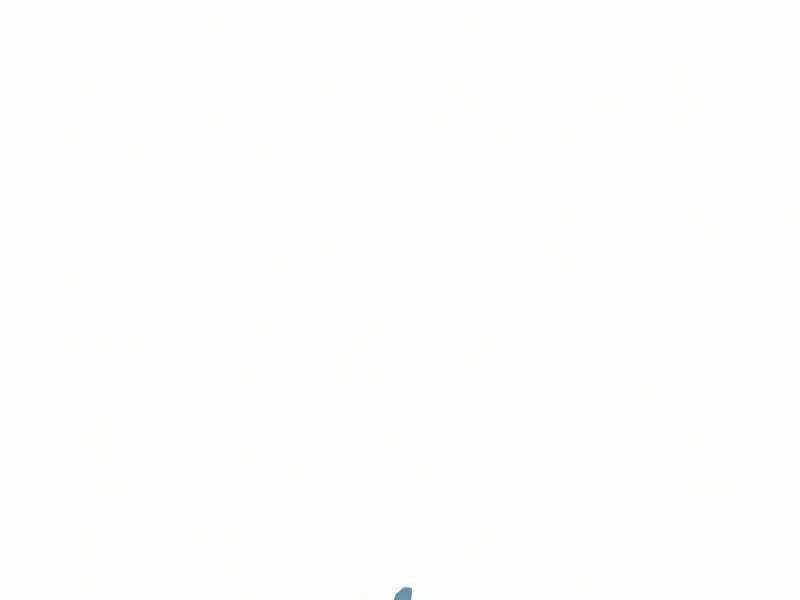 page 218