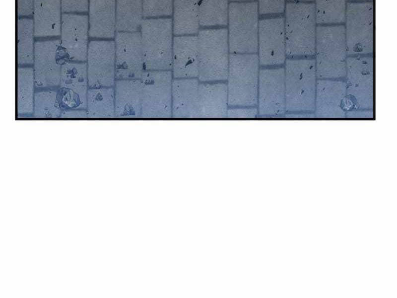 page 217