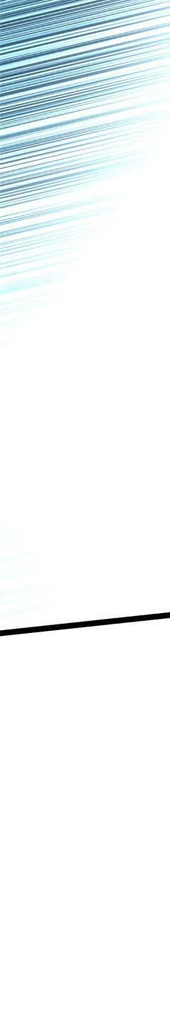 page 291