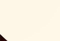 page 312