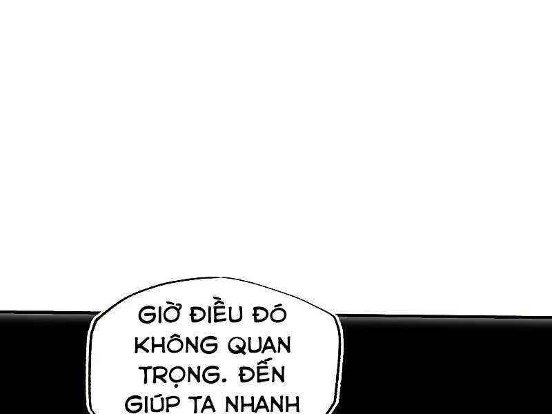 page 241