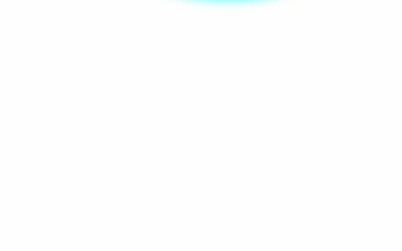 page 221