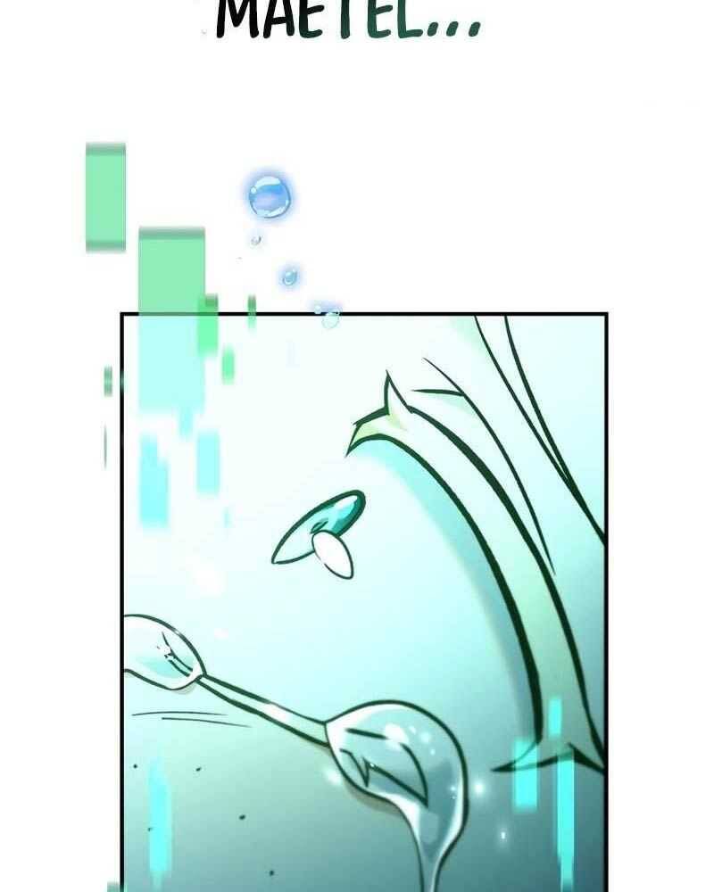 page 229
