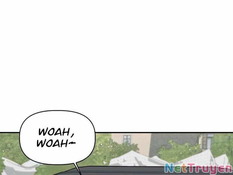 page 231