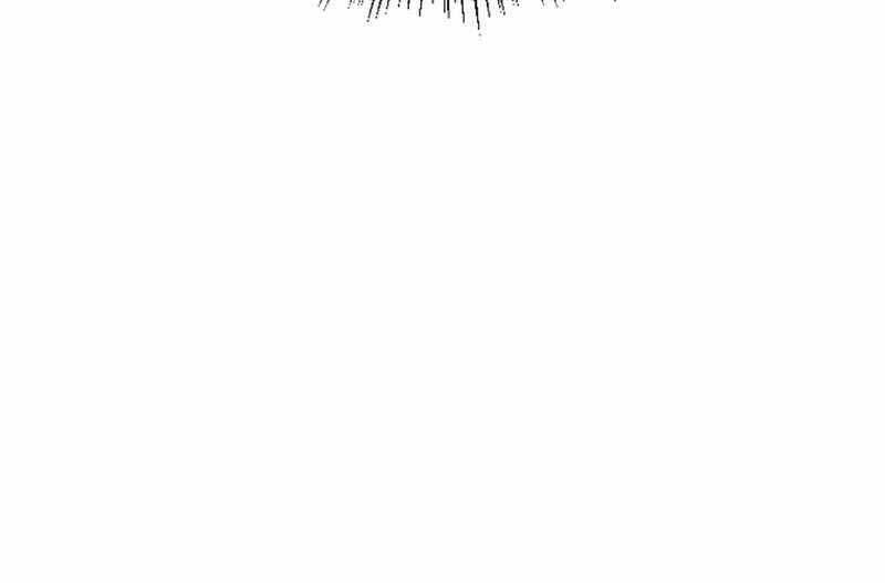 page 225