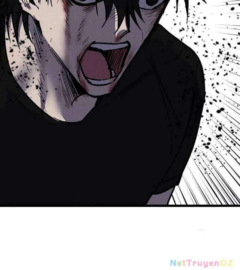 page 236