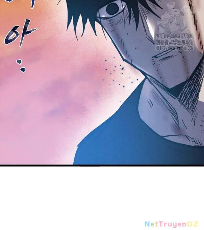 page 258
