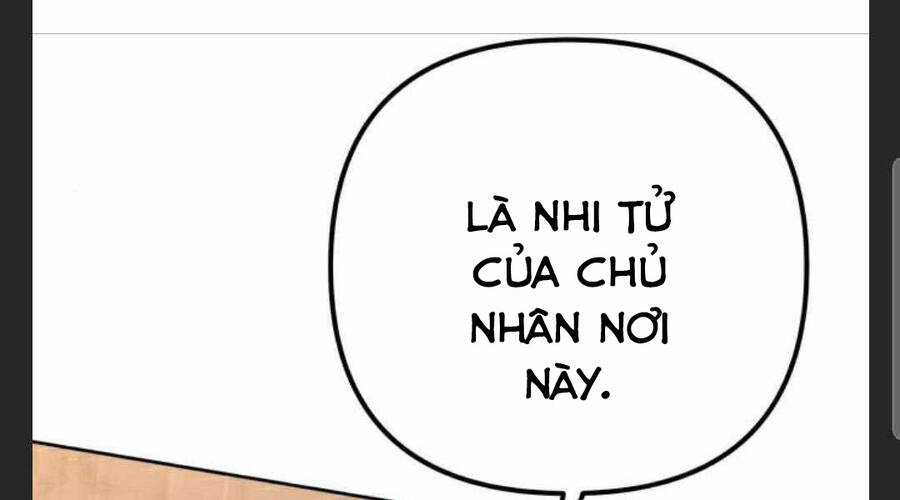 page 233