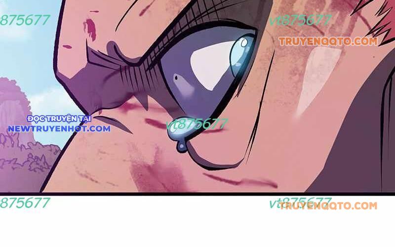 page 217