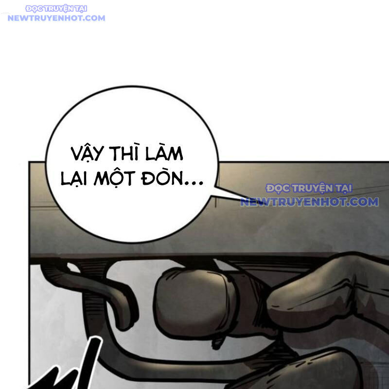page 233