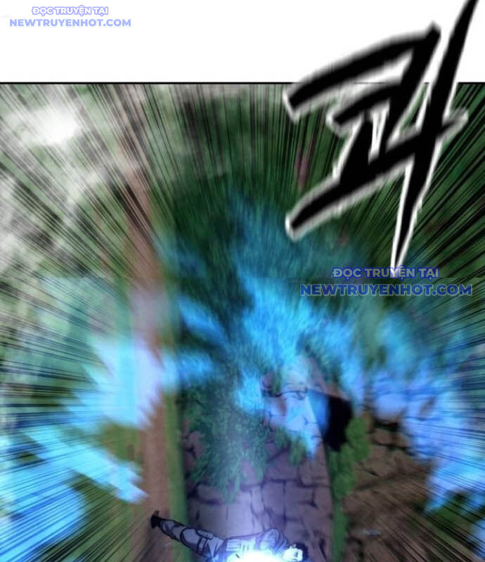 page 217
