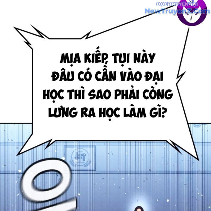 page 243