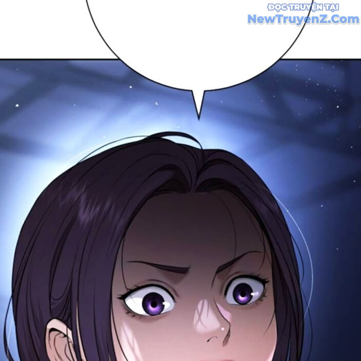 page 251