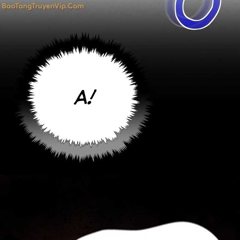 page 261