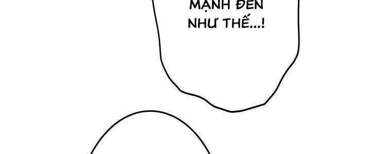 page 236