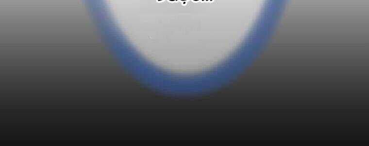 page 291