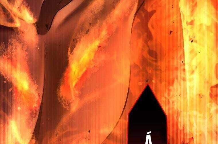 page 241