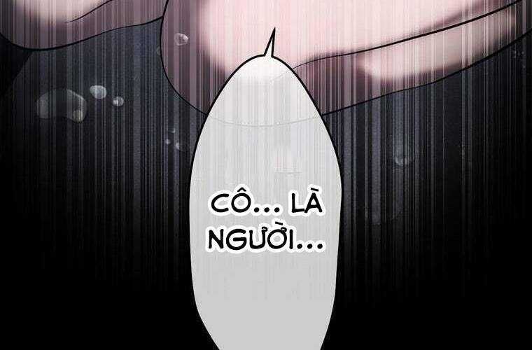 page 240