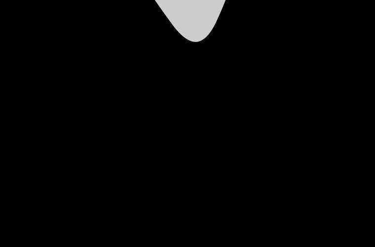 page 241