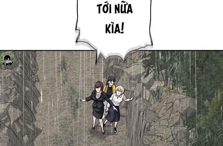 page 246