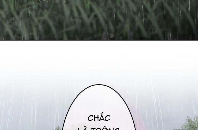 page 229