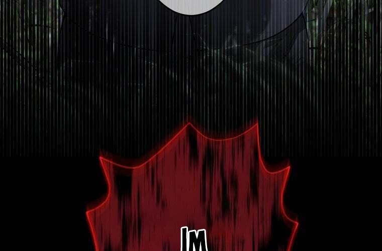 page 241