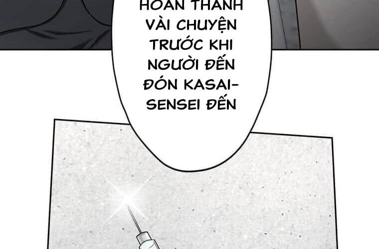page 236