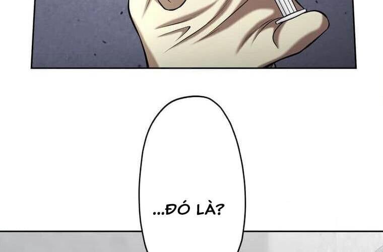 page 238