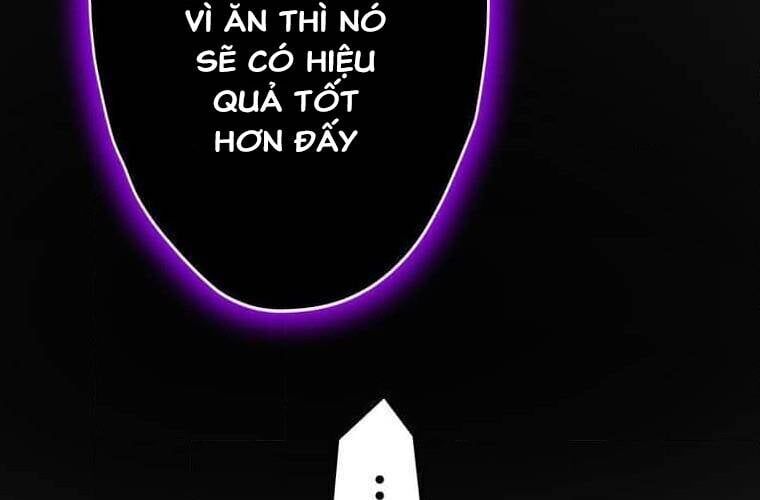 page 245