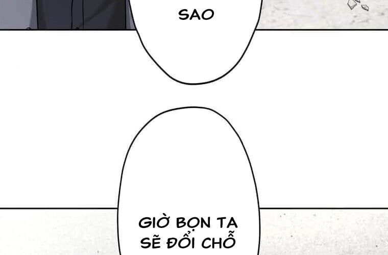 page 237