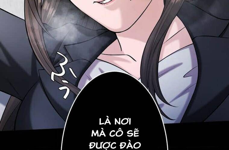 page 241