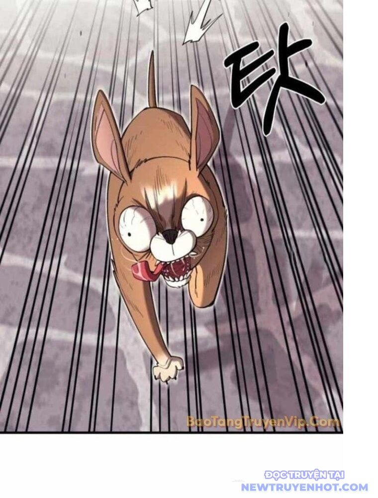 page 304