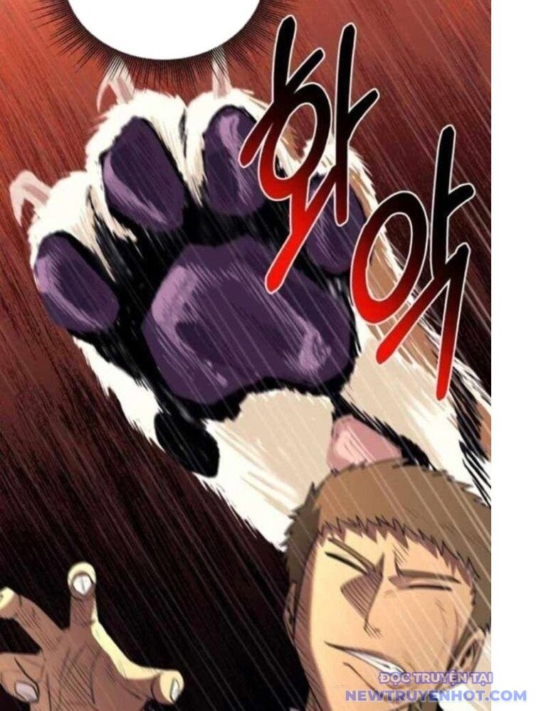page 335