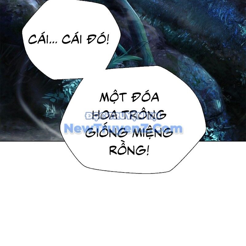 page 225