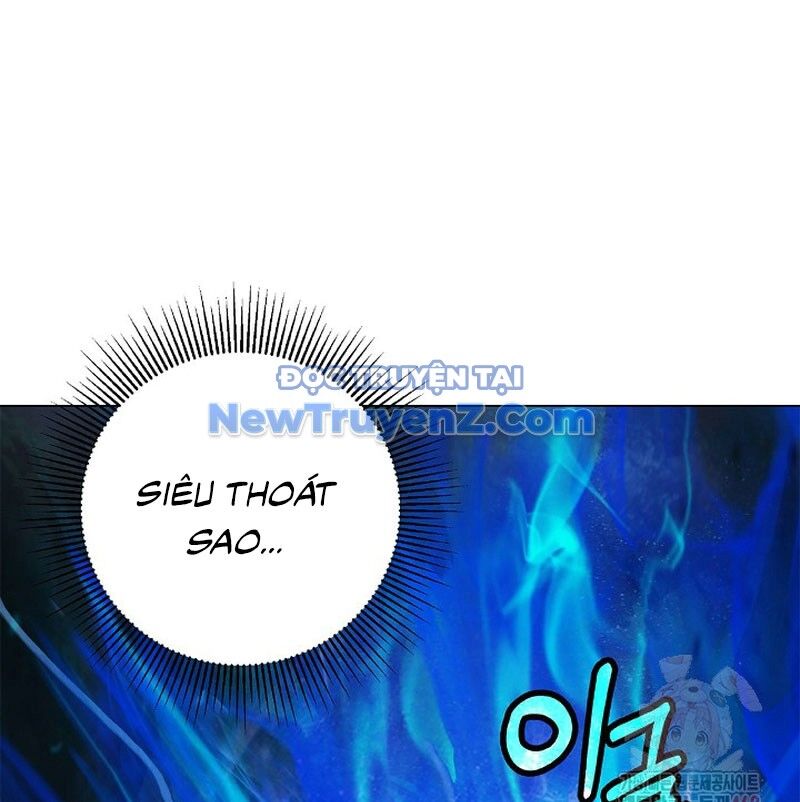 page 207