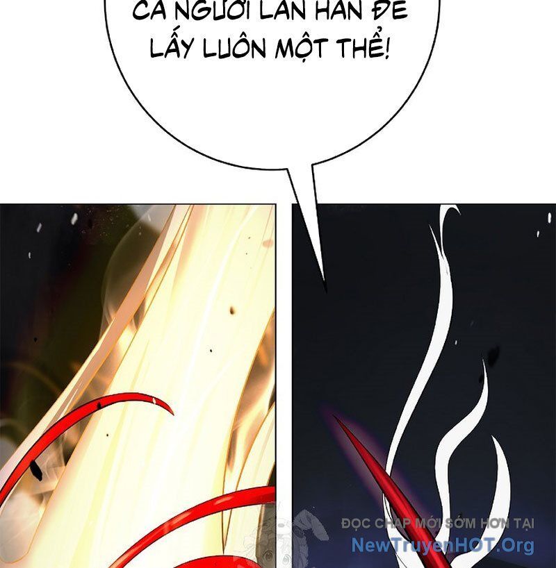 page 237