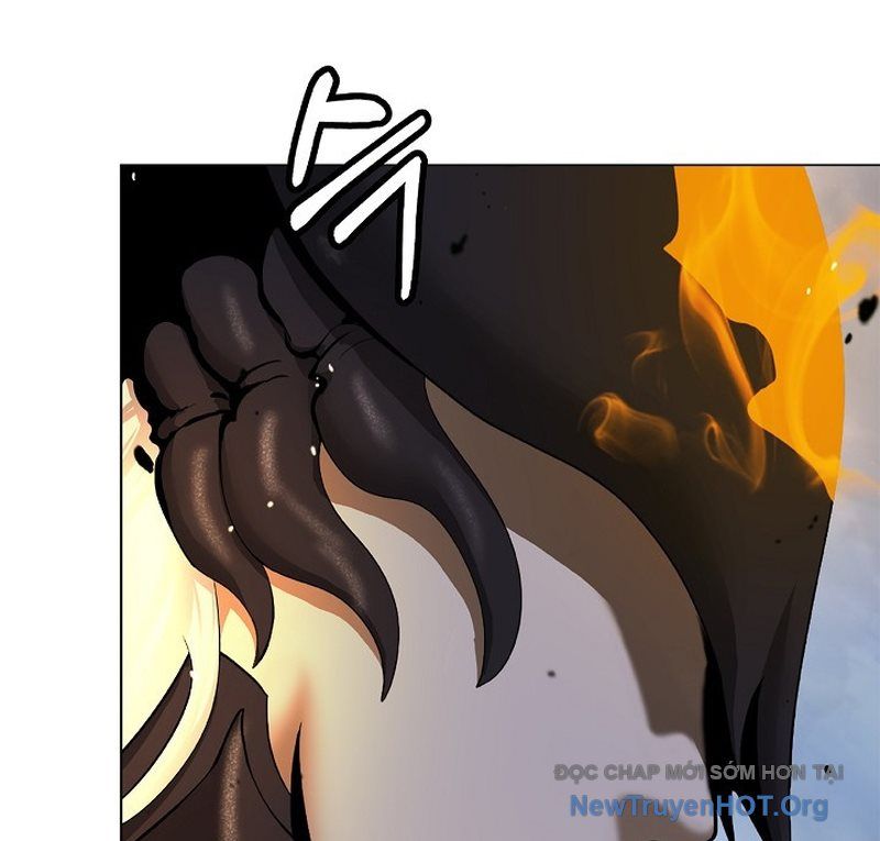 page 231