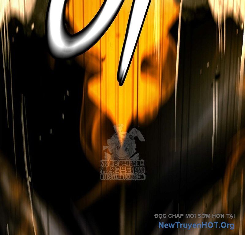 page 244