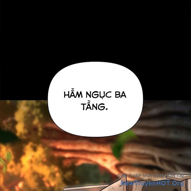 page 217