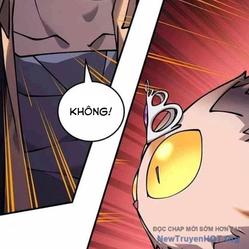page 244
