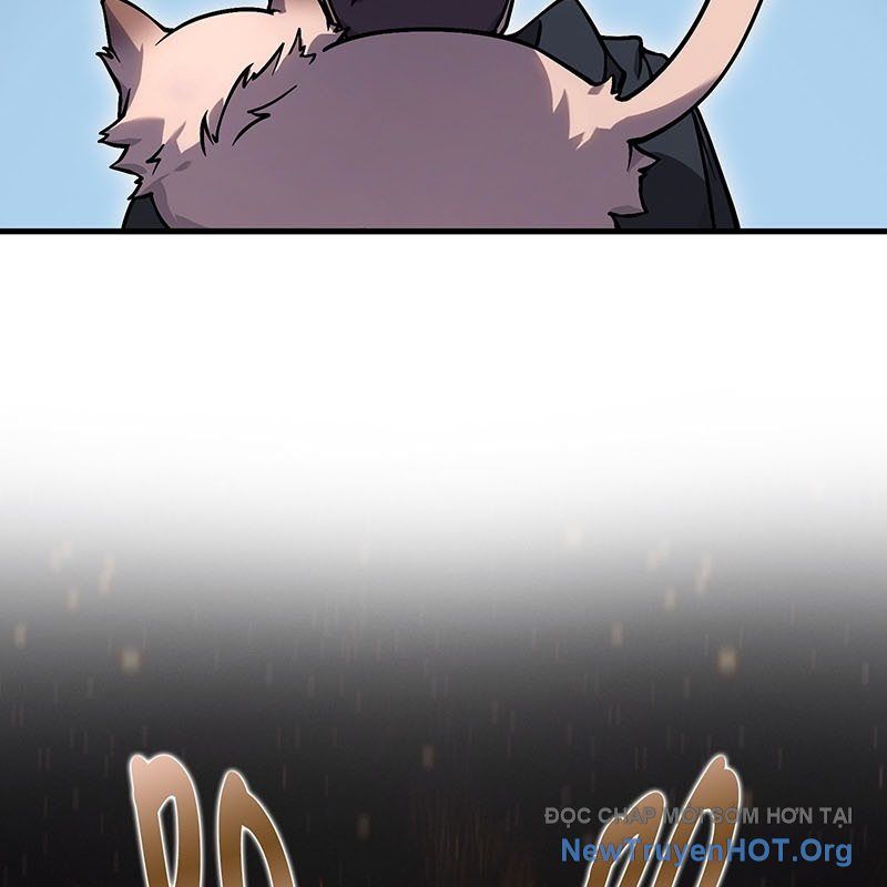 page 245