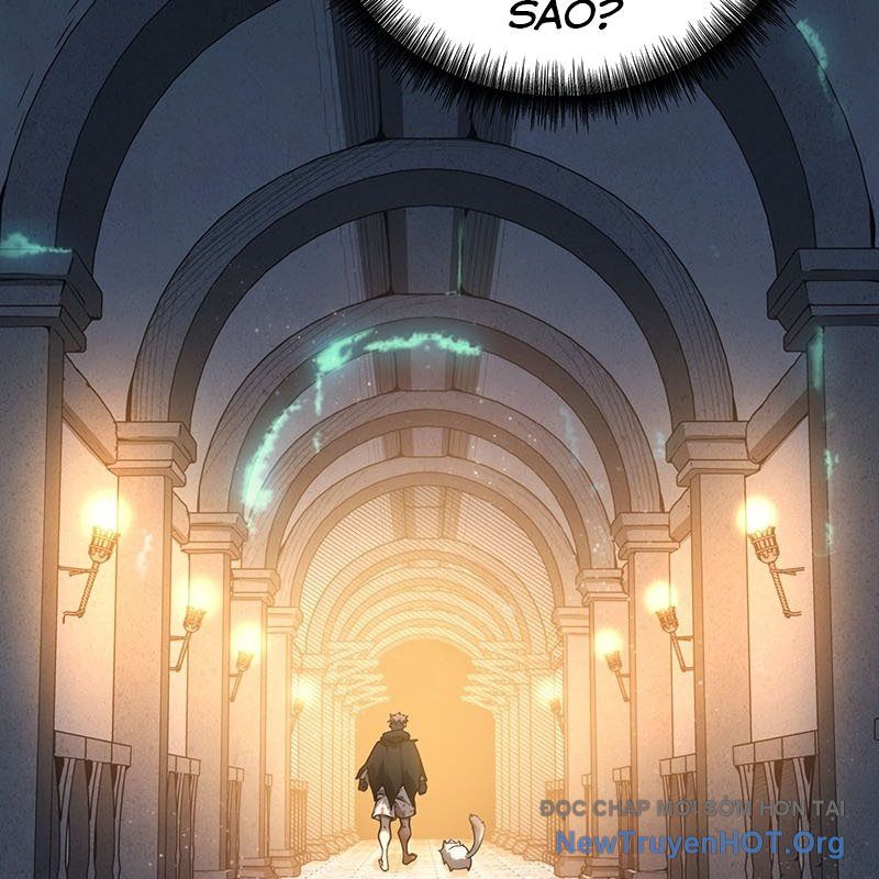 page 239