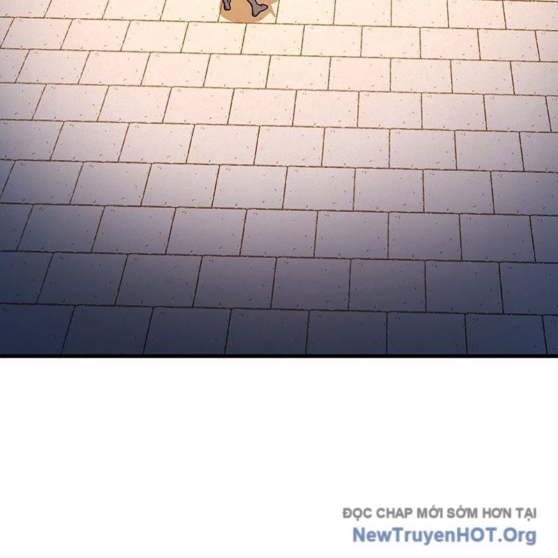 page 244