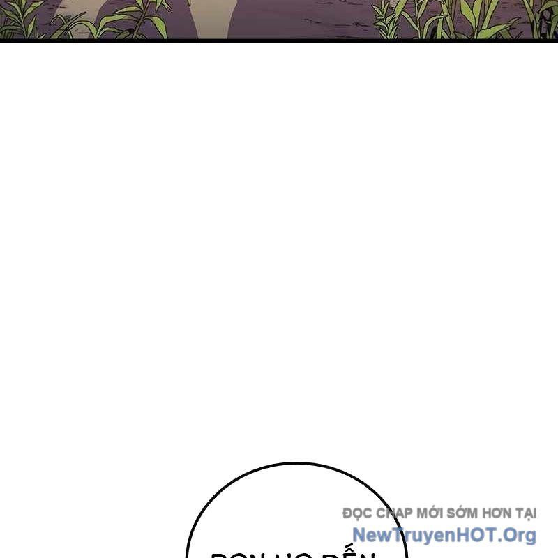page 244